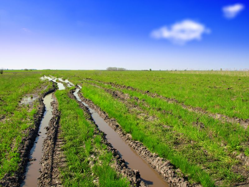 Slope And Level Yard